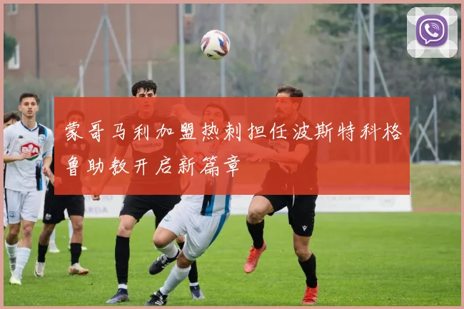 蒙哥马利加盟热刺担任波斯特科格鲁助教开启新篇章