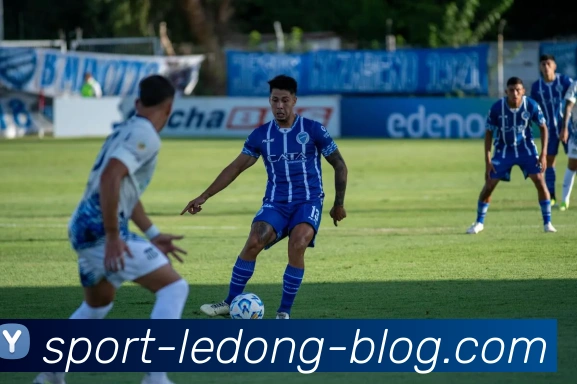 乐动体育平台生态图