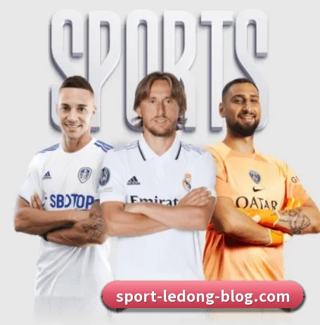 乐动体育 APP | LDSPORTS